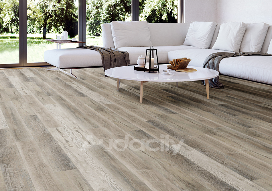 Audacity, Audacity One, Ashford